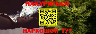 гашик Можга