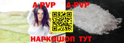 гашик Можга