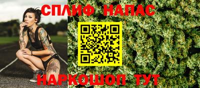 гашик Можга