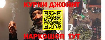 гашик Можга