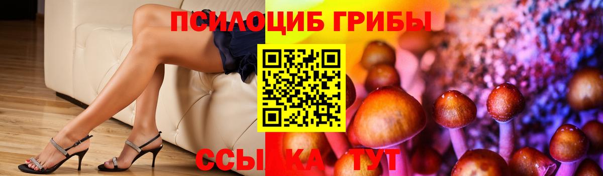 Чапаевск  Галлюциногенные грибы GOLDEN TEACHER  Вход с VPN 